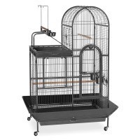 Cheap House Designs Chinese Metal Iron Stainless Steel Bird Cage Parrot with Playtop