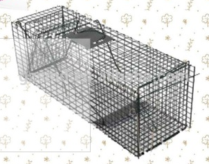 wild animal mouse trap cage